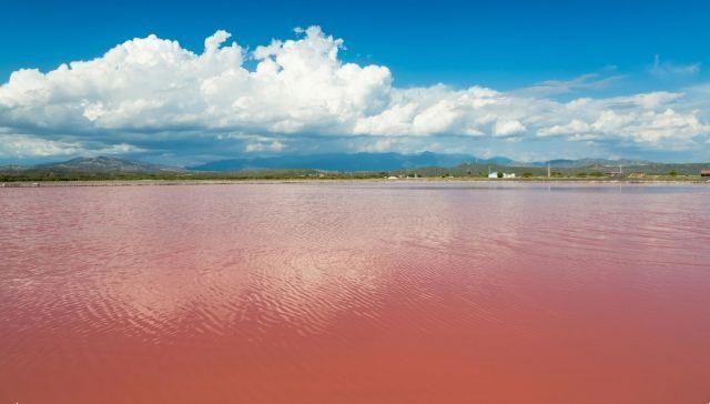 Lago Retba, el maravilloso lago rosa de Senegal