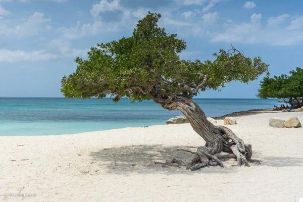 ¿Se puede viajar a Aruba Low Cost?