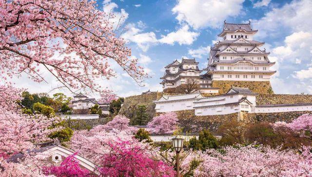 En Japón en primavera el espectáculo del hanami te hace soñar